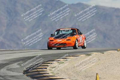 media/Oct-11-2025-Lucky Dog Racing (Sat) [[f5b53147c4]]/4-Third Stint/1-Turn 12/